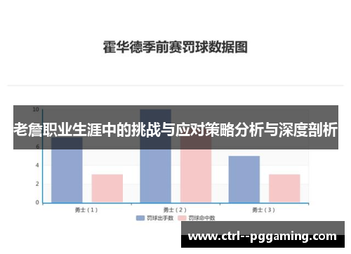 老詹职业生涯中的挑战与应对策略分析与深度剖析