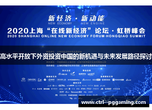 高水平开放下外资投资中国的新机遇与未来发展路径探讨