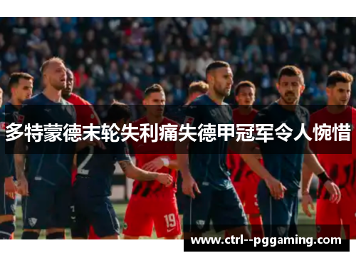 多特蒙德末轮失利痛失德甲冠军令人惋惜 多特蒙德末轮失利痛失德甲冠军令人惋惜